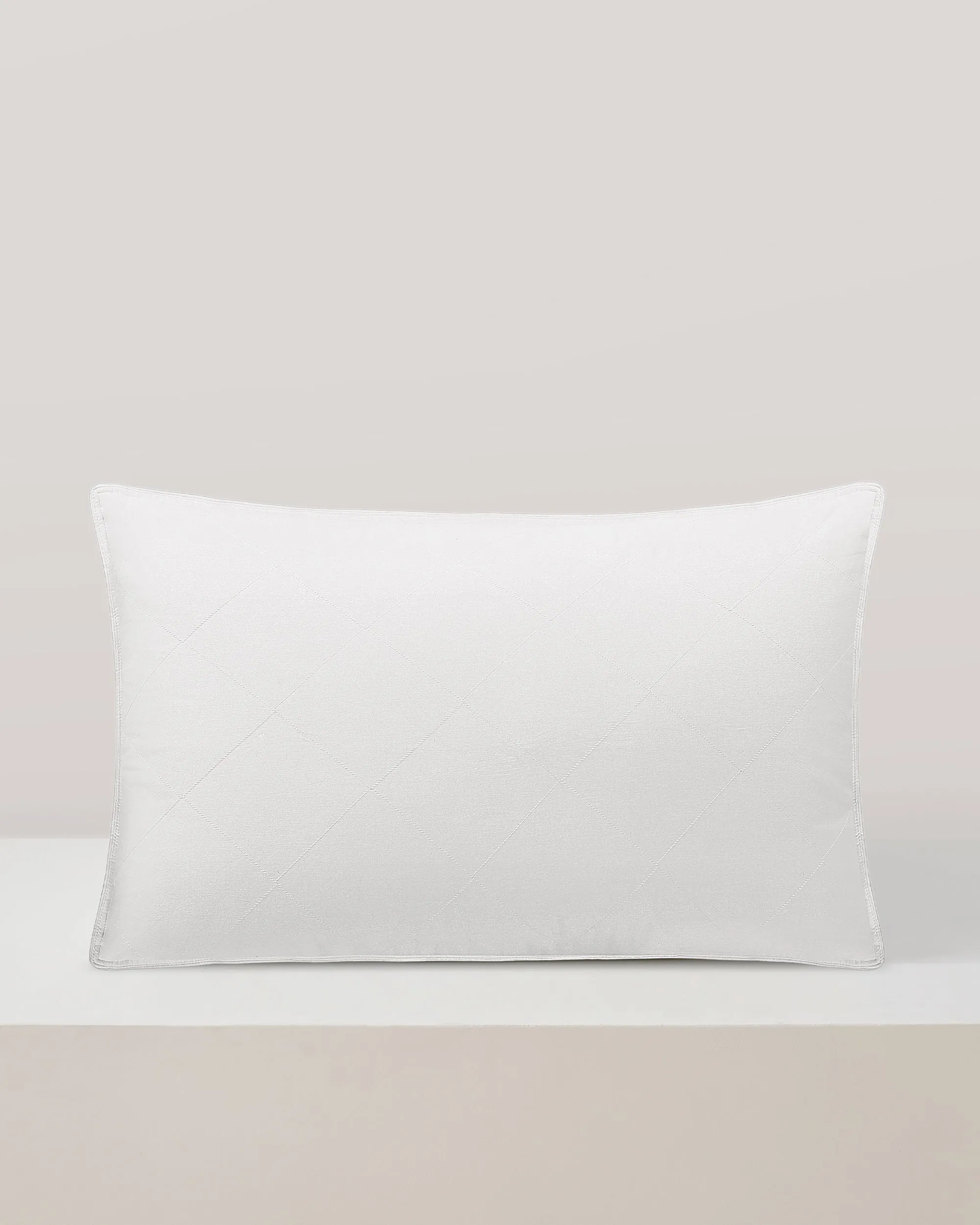 Washable Cotton Covered Silk Lined Pillow